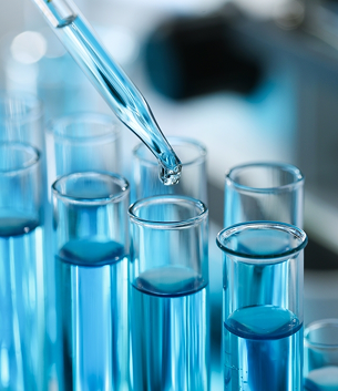 SEMAGLUTIDE - Image 5